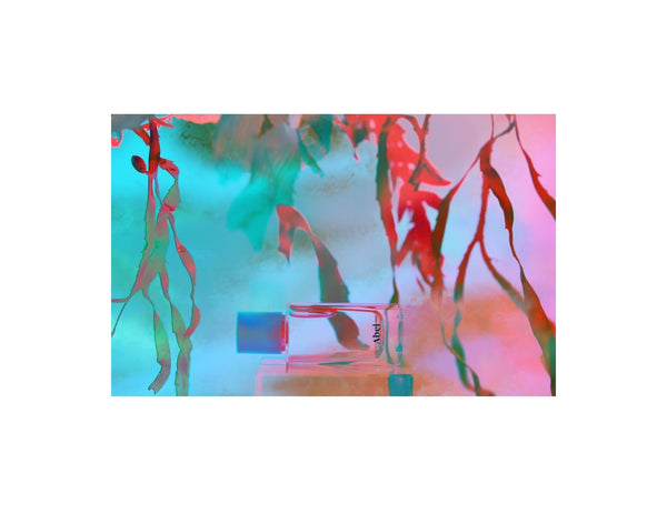 Naturalne perfumy Cyan Nori Abel