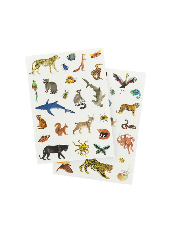 Tatuaże zmywalne Zwierzęta świata Molin Roty