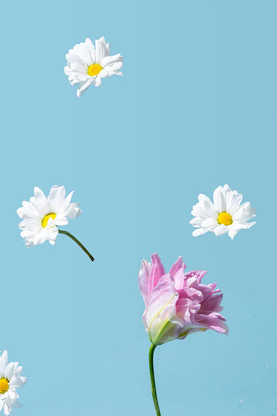 Herbata bezkofeinowa dobry sen Dreamy Delights Tea Flowrs