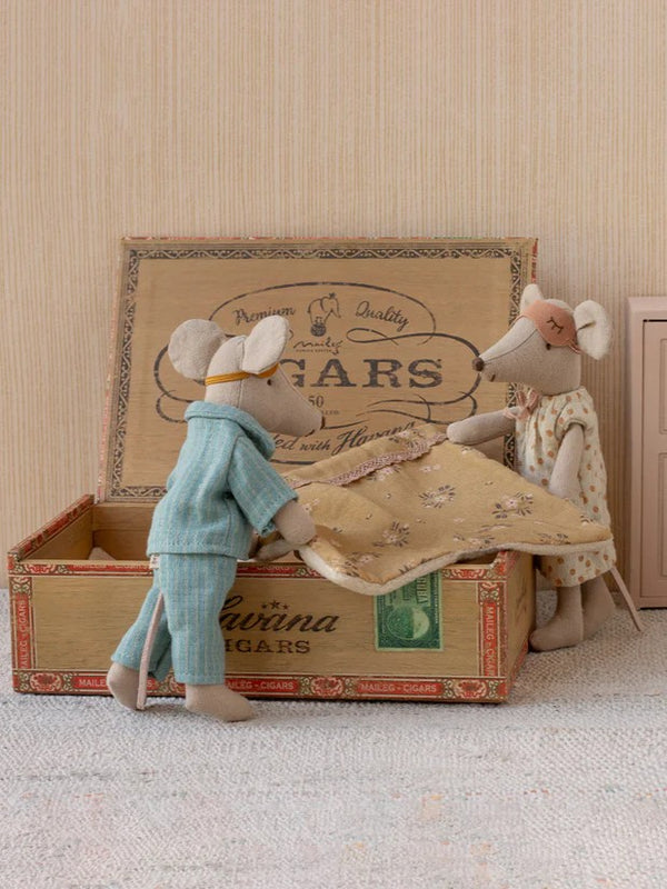 Myszki mama i tata w opakowaniu po cygarach