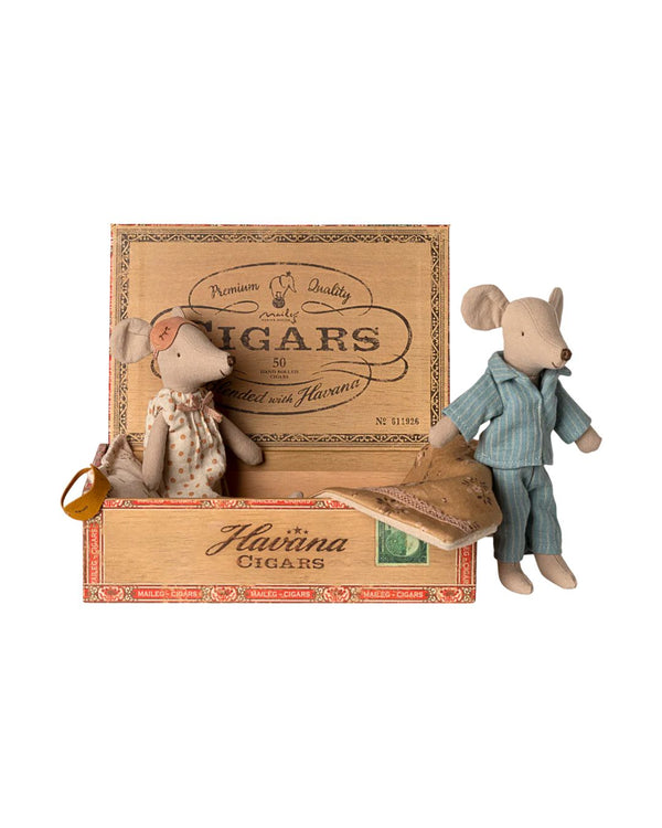 Myszki mama i tata w opakowaniu po cygarach