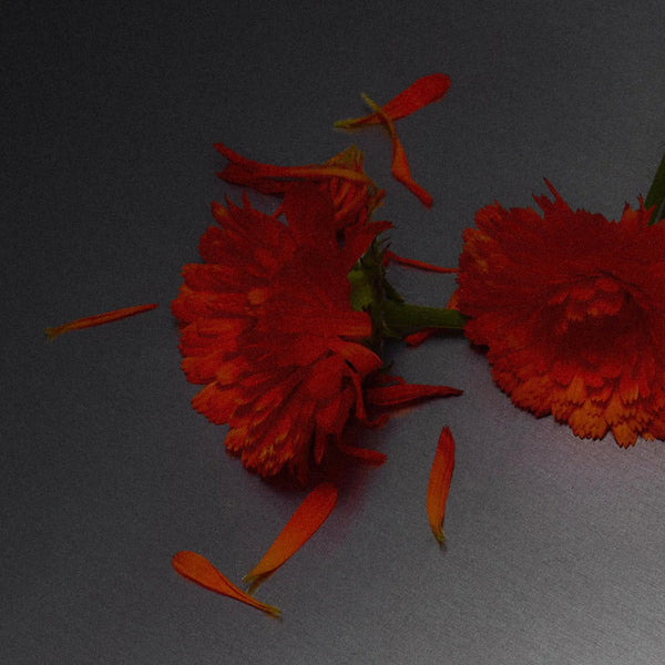 Perfumy do wnętrz Scene 02 Abel