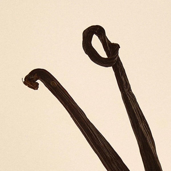 Perfumy do wnętrz Scene 03 Abel