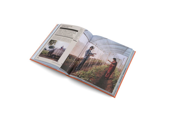 The New Traditional Heritage, Craftsmanship, and Local Identity