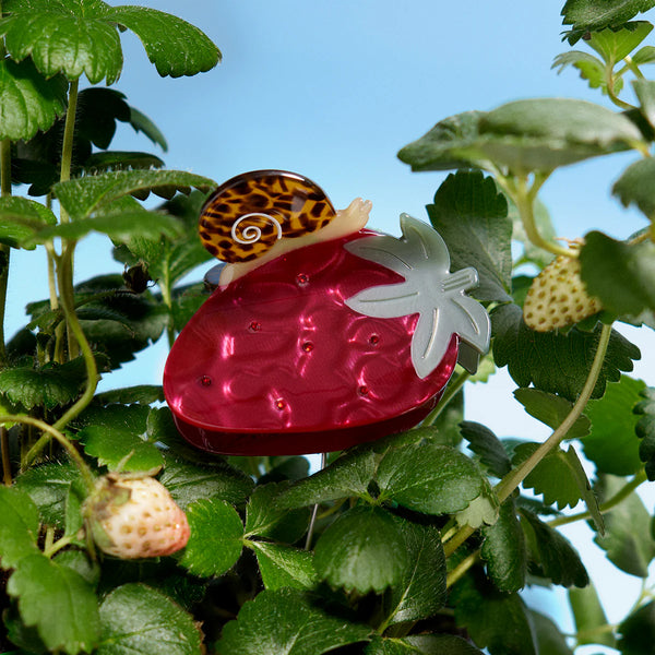 Klamra Strawberry Garden Snail