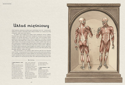 Anatomicum / Jennifer Z. Paxton