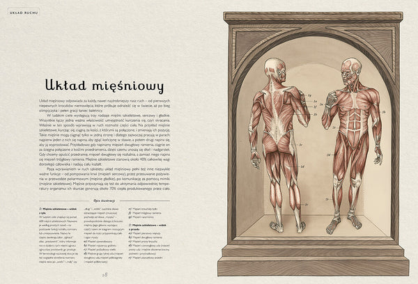 Anatomicum / Jennifer Z. Paxton