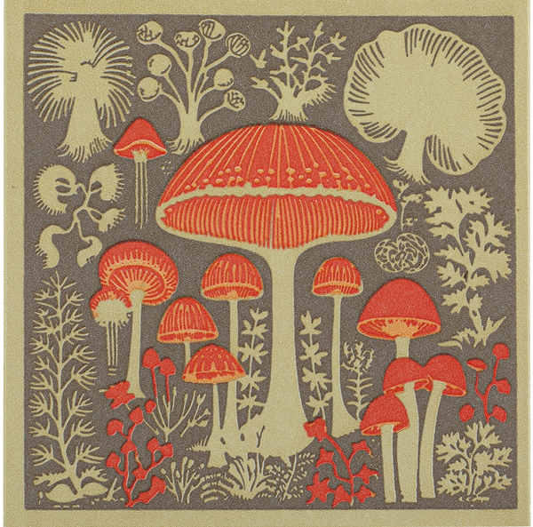 Zapałki Mushrooms
