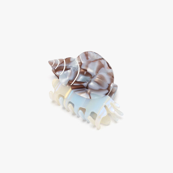 Klamra Blue Whelk Sea Snail