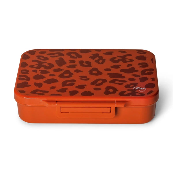 Lunchbox Tritanowy Leo Brick