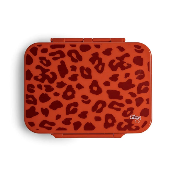 Lunchbox Tritanowy Leo Brick