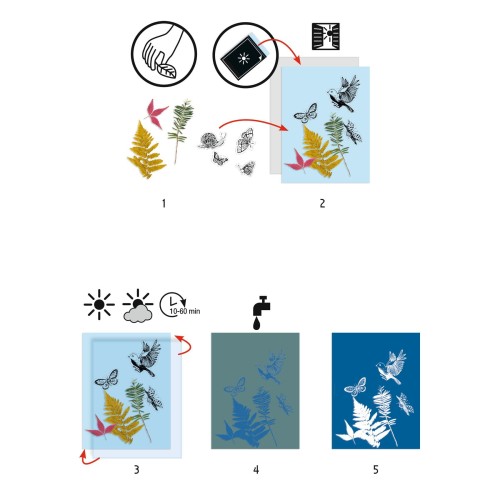 Zestaw Artystyczny Cyjanotypia - Las