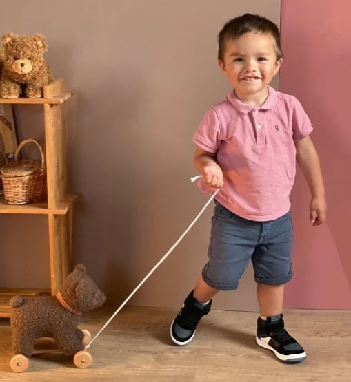 Niedźwiadek Raoul do Ciągnięcia