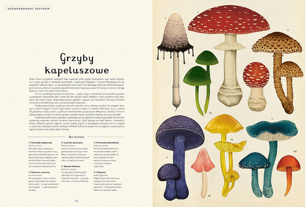 Fungarium / Ester Gaya