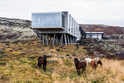 Design to Stay The Design Hotels Book - gestalten