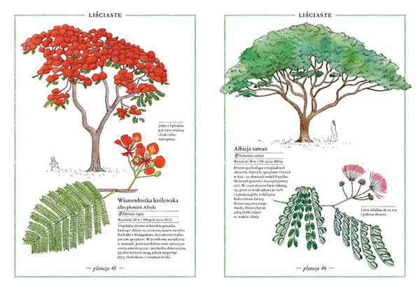 Ilustrowany Inwentarz Drzew / Virginie Aladjidi, Emmanuelle Tchoukriel
