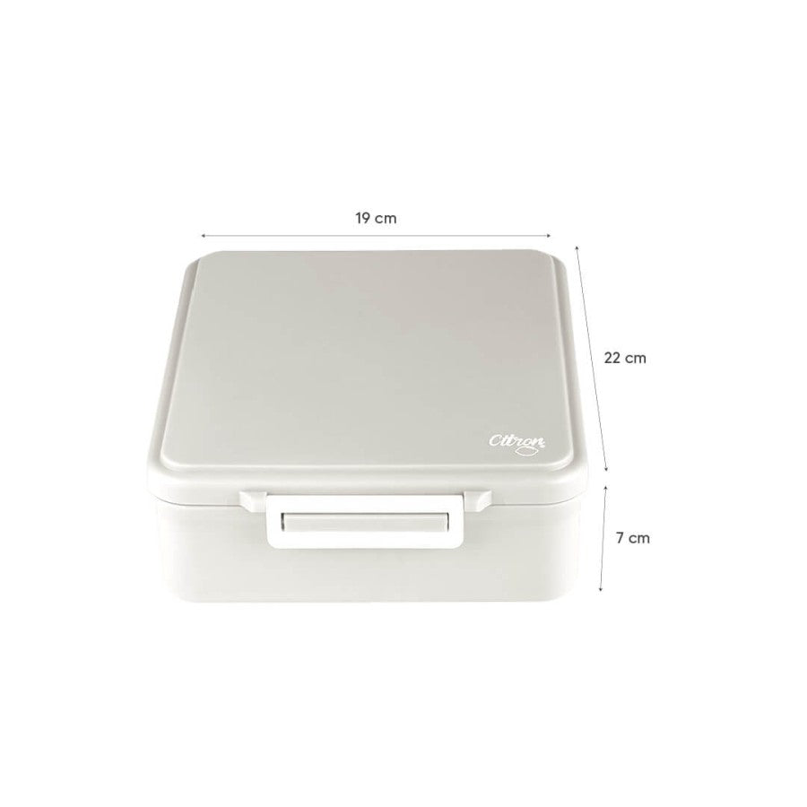 Grand Lunch Box z Termosem Dino