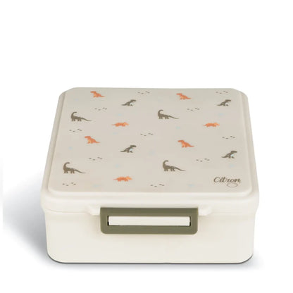 Grand Lunch Box z Termosem Dino