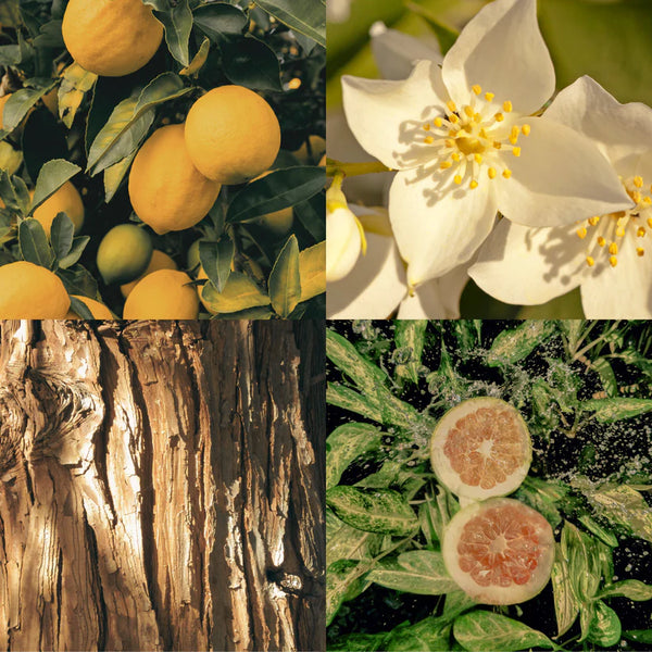 Woda Perfumowana No Vacancy 50 ml