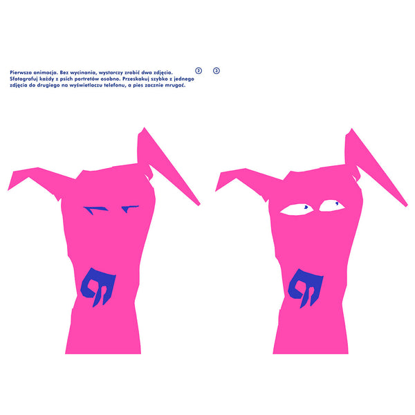 Pies, kot, akcja! Animacja! / Monika Hanulak, Grażka Lange