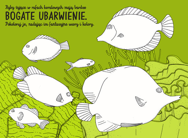 Podwodnik (wydanie II) / Aleksandra i Daniel Mizielińscy