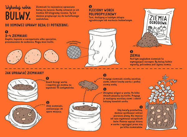 Podziemnik (wydanie II) / Aleksandra i Daniel Mizielińscy