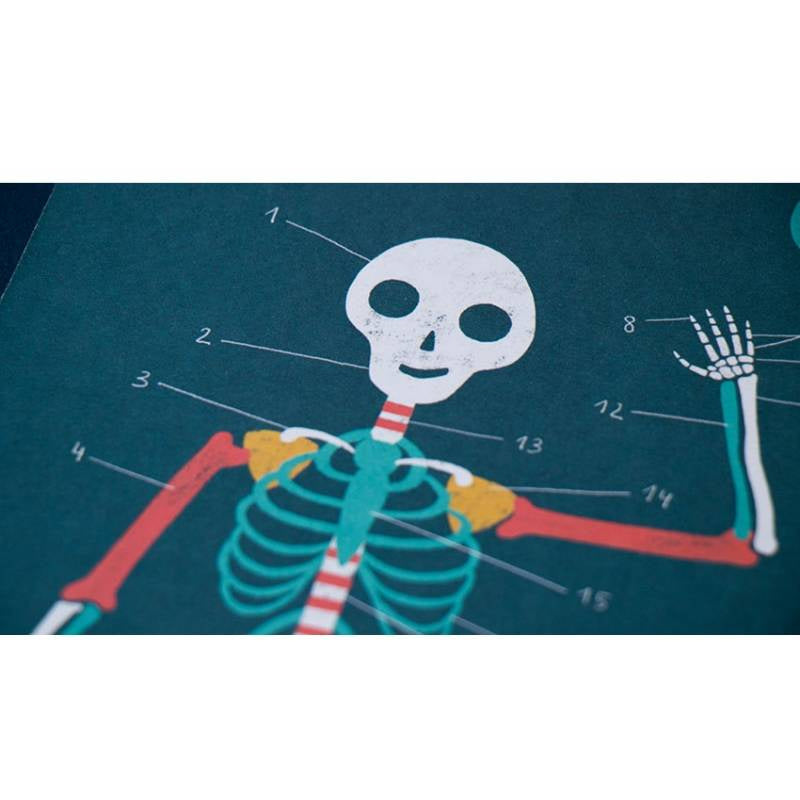 Gra edukacyjna Inside Me - Moje wnętrze