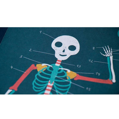 Gra edukacyjna Inside Me - Moje wnętrze