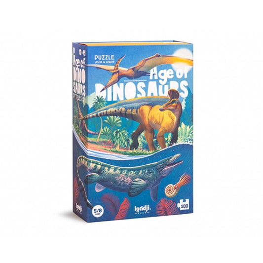 Puzzle gra obserwacyjna Age of Dinosaurs