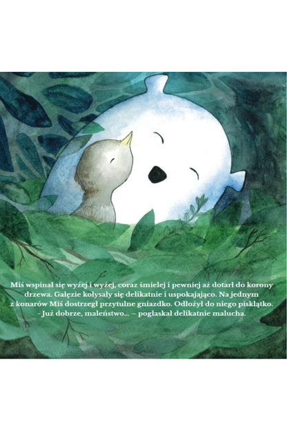 Książka Miś i ciemność - Rabbit & Friends