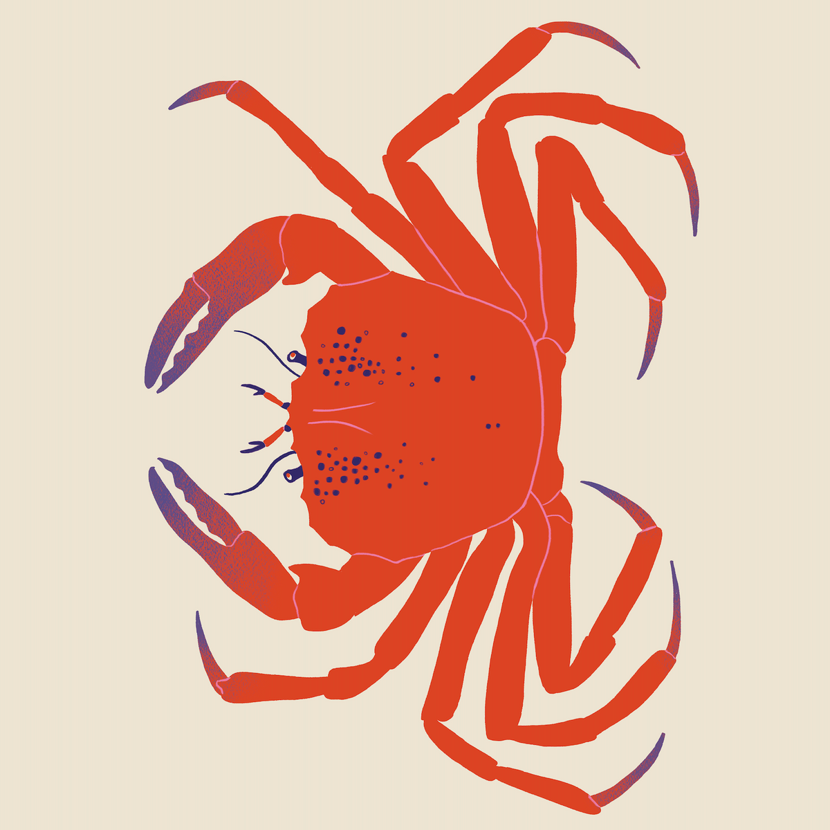Grafika Zodiak - Rak