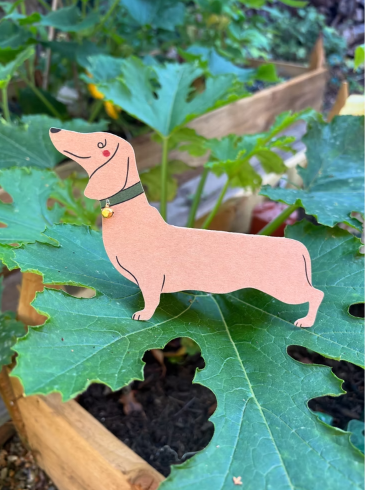 Kartka Standing Dachshund Sausage Dog