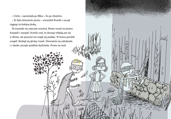 Svartle / Håkon Øvreås