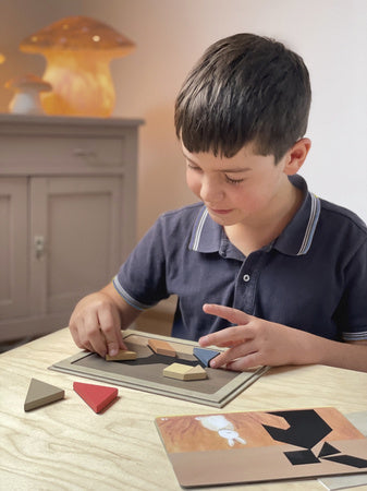 Gra Magnetyczna Tangram