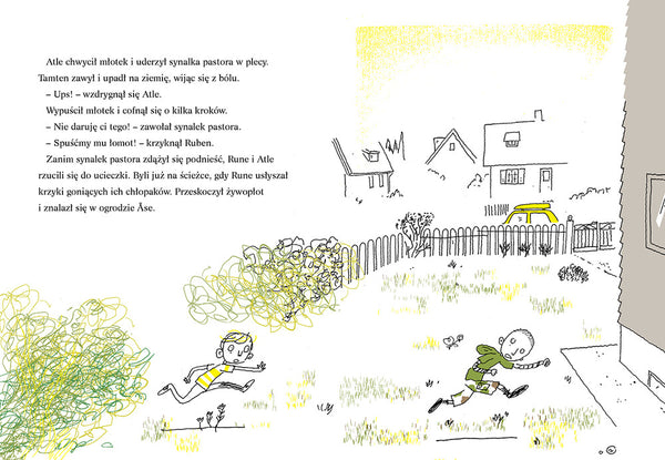 Brune / Håkon Øvreås, Øyvind Torseter