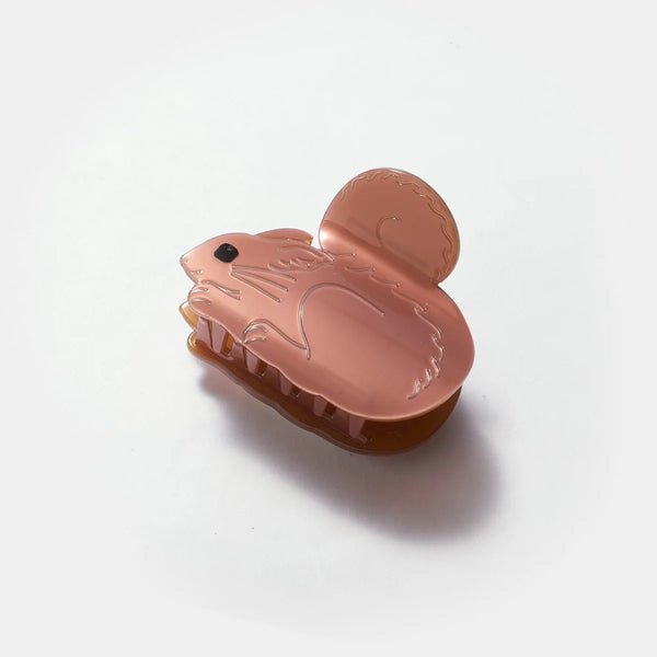Klamra Squirrel Claw