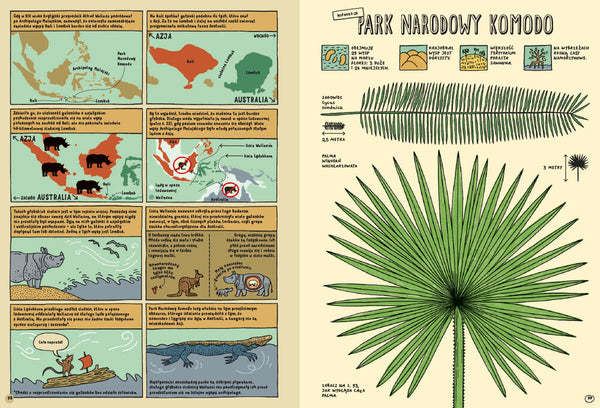 Którędy do Yellowstone? / Aleksandra i Daniel Mizielińscy